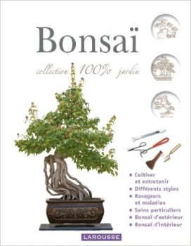 Bonsai - Nouvelle Présentation